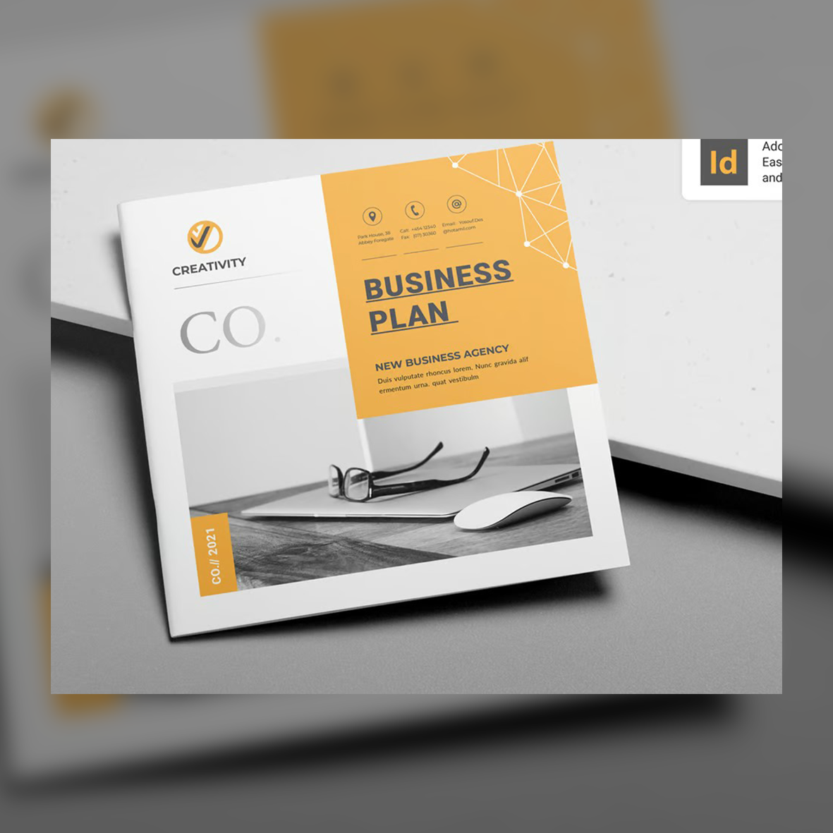 Brand Identity